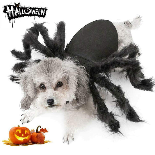 Spooky Spider Pet Costume