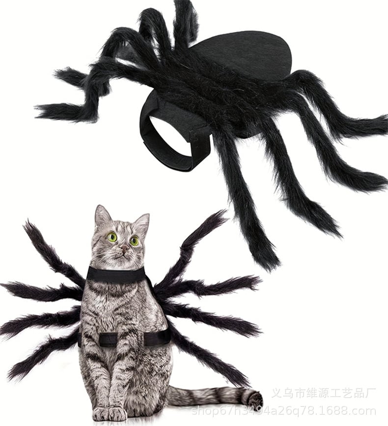 Spooky Spider Pet Costume
