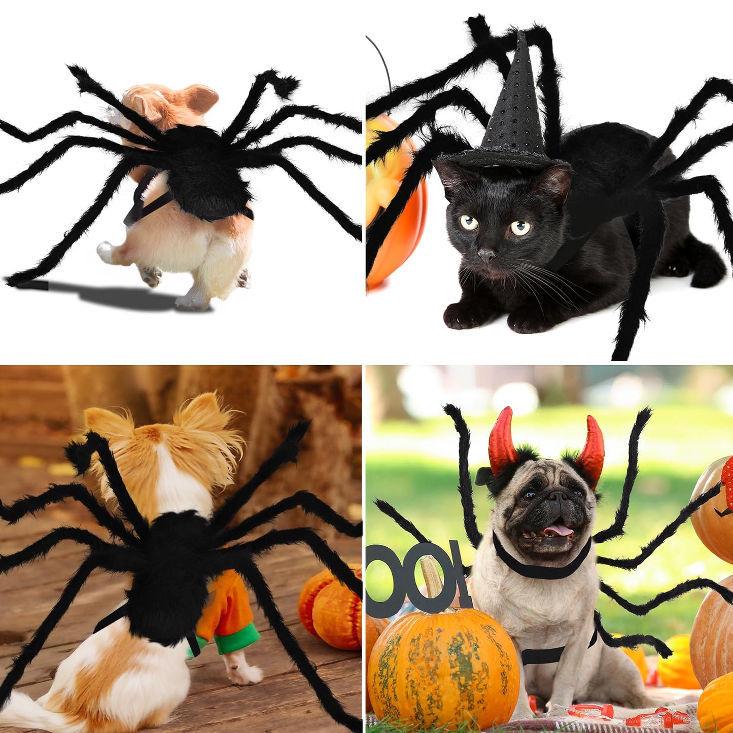 Spooky Spider Pet Costume