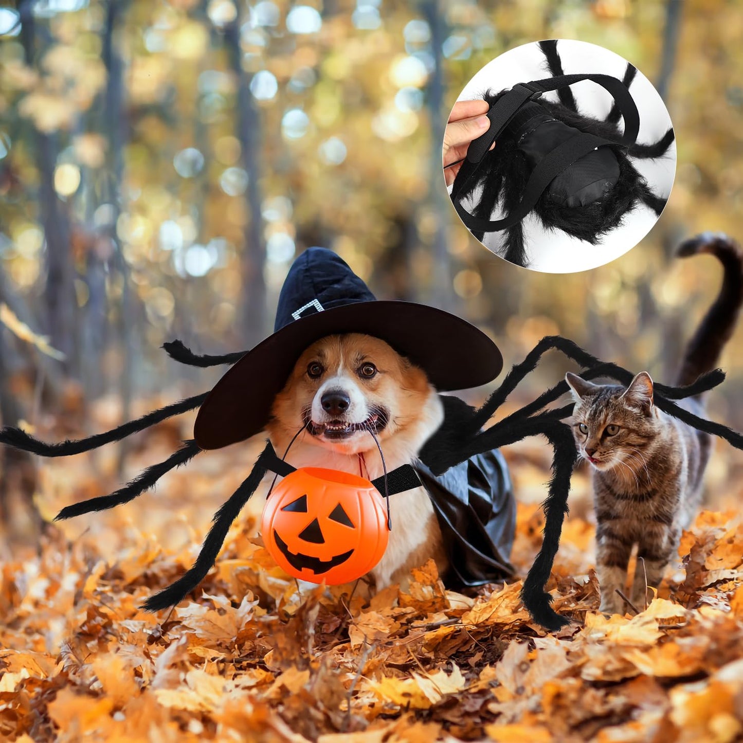 Spooky Spider Pet Costume