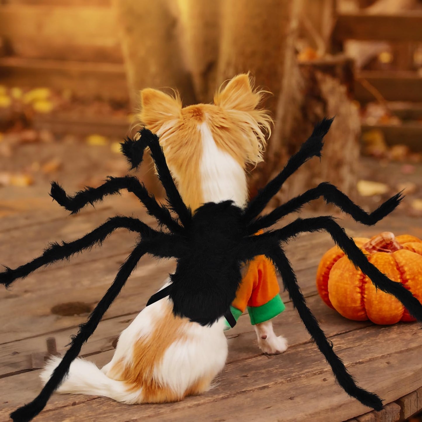 Spooky Spider Pet Costume